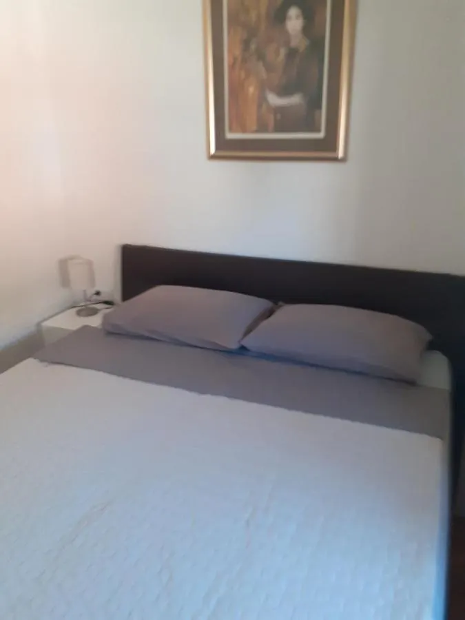 Pavel, Studio Apartman Privlaka  Apartment